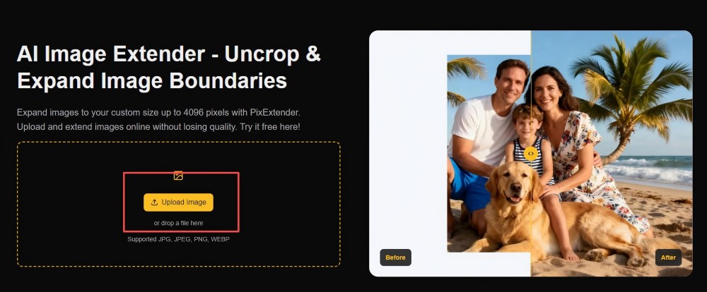 step1-upload-interface